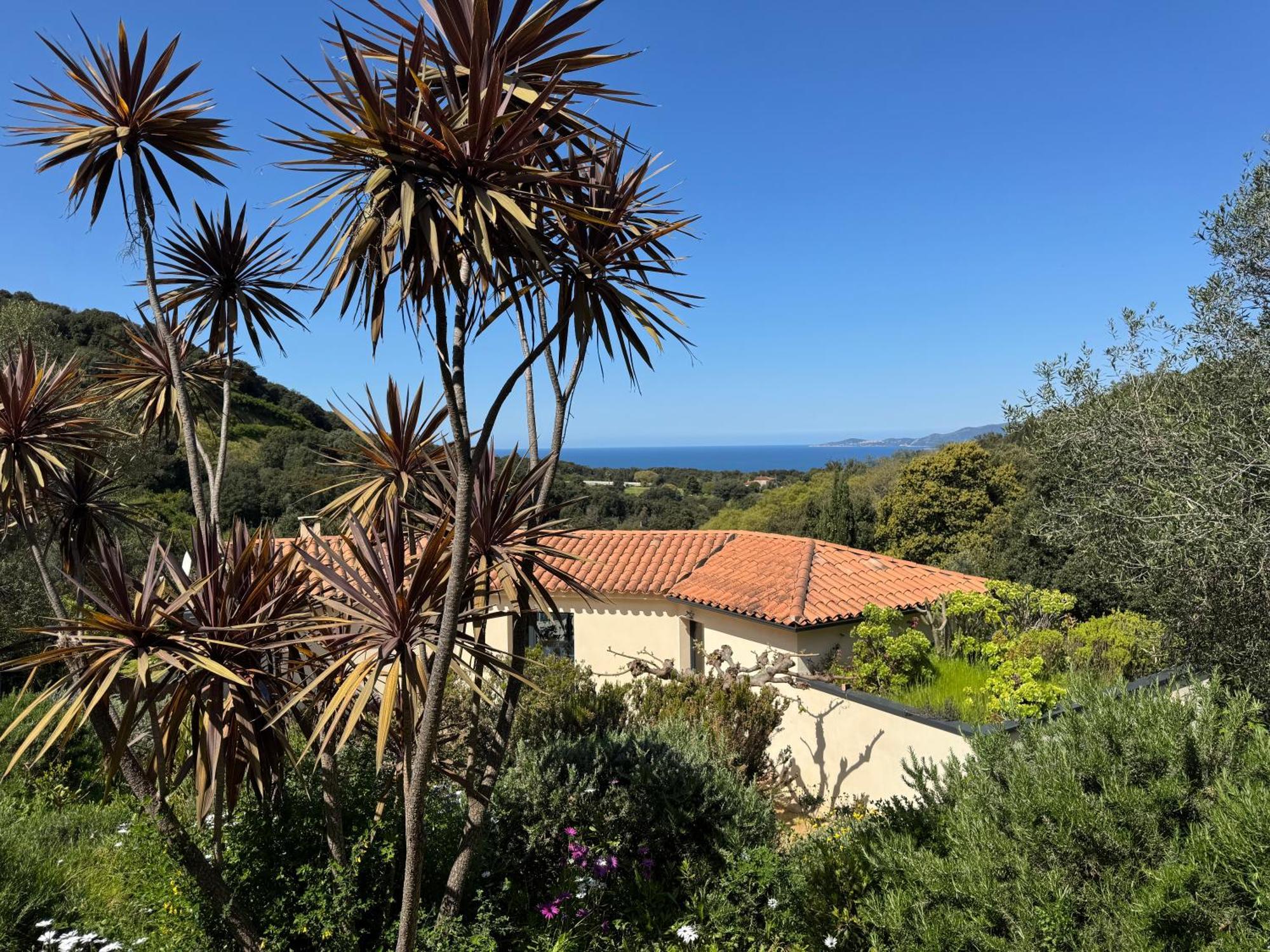 Bed and Breakfast Le Ruone Calcatoggio  Exterior foto